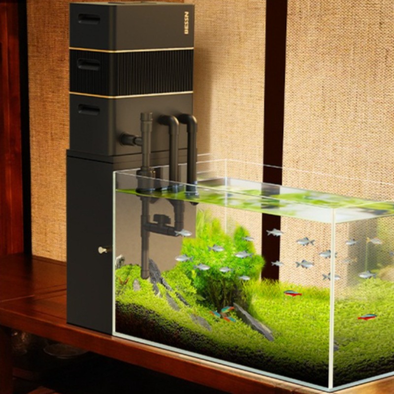 Filter Base Cabinet Wooden Fis - đánh giá và giá Seaweed Snack